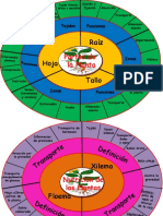 Mandala Las Plantas