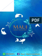 Carta Maui
