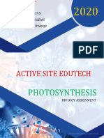 Photosynthesis Short Concepts