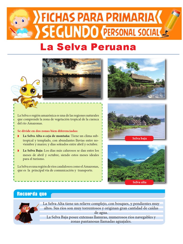 La Selva Peruana para Niños: Guía Educativa | PDF | Selva | Selva amazónica