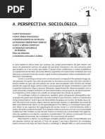Fundamentos da Sociologia - Schaefer