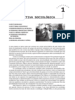 Fundamentos Da Sociologia - Schaefer