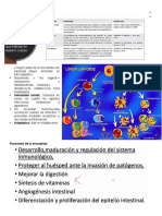 Microbiota e Inmunidad