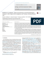 CBP New Method Histopathology