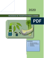 Velocidad transporte xilema hojas apio