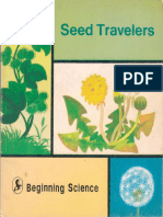 Chin Seed Travel