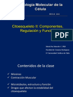 Clase Citoesqueleto II BIO141C 2021
