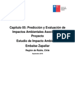 Cap 05 Evaluacion de Impactos