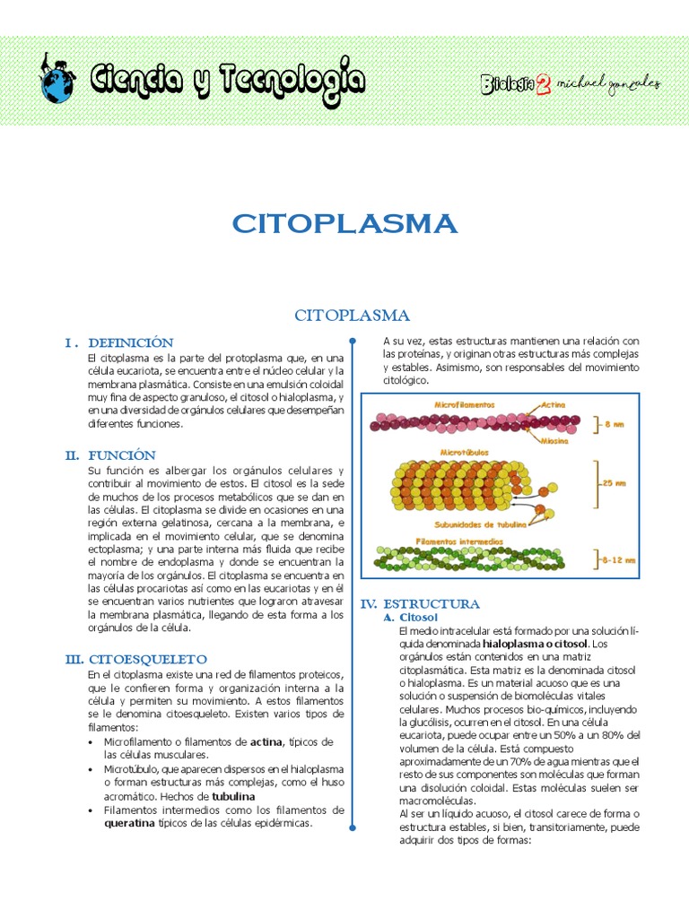 Estructura y Función del Citoplasma Celular | PDF | Citoplasma ...