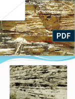 GEILOGIA ESTRUCTURAS_SEDIMENTARIAS