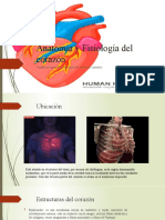 Anatomía y Fisiología Del Corazón