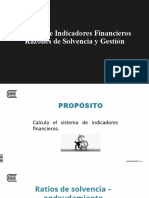 Sesión 29 y 30 - Anális Ind Finan - Solvencia y Gestión