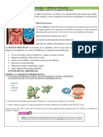 Actividad 4 CIENCIAS NATURALES