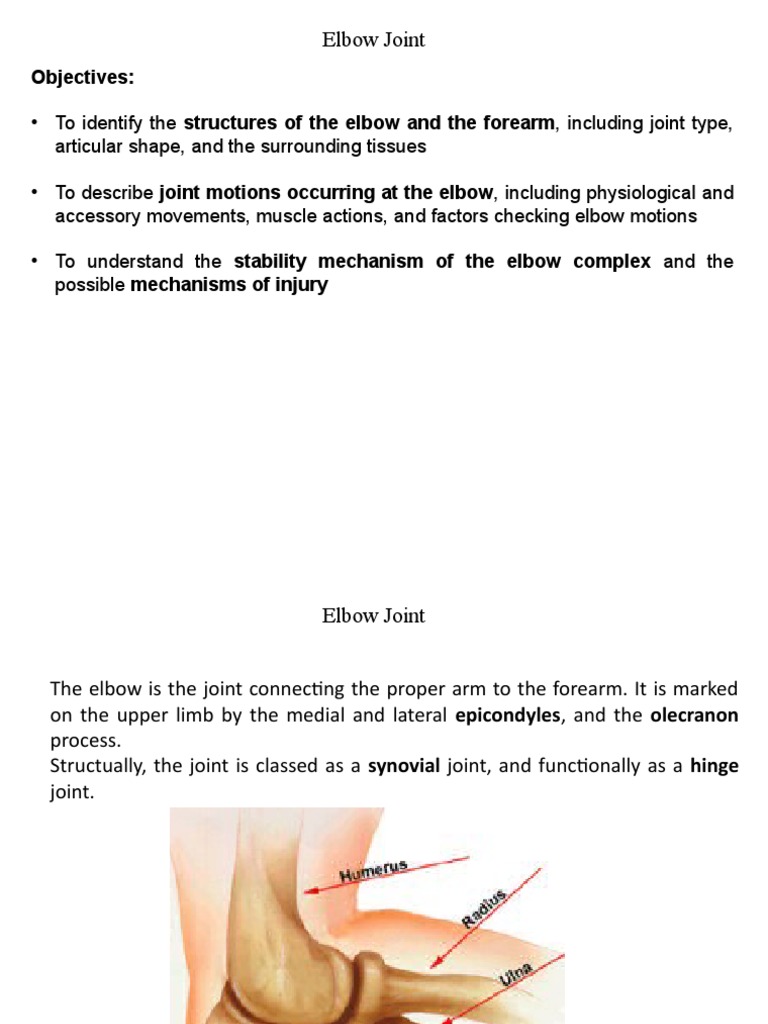 Elbow Joint Biomechanics Overview | PDF | Elbow | Anatomical Terms Of ...