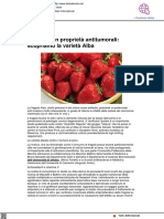 Fragole con proprietà antitumorali: scopriamo la varietà Alba - Italia a tavola.net, 13 luglio 2021