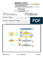 Week 7 - Answer Sheet - Bioenergetics