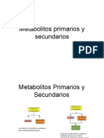 6 - Metabolitos Primarios y Secundarios