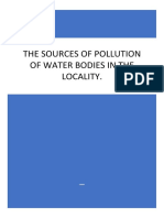 The Sources of Pollution of Water Bodies in The Locality