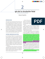 Fisiología de La Circulación Fetal