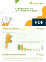 Amplificagro Informe Especial Julio 2021