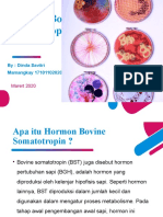 Hormon Bovine Somatotropin