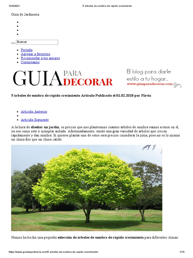 Árboles de Sombra de Crecimiento Rápido | PDF | Arboles | Paisaje, image size:768x1024