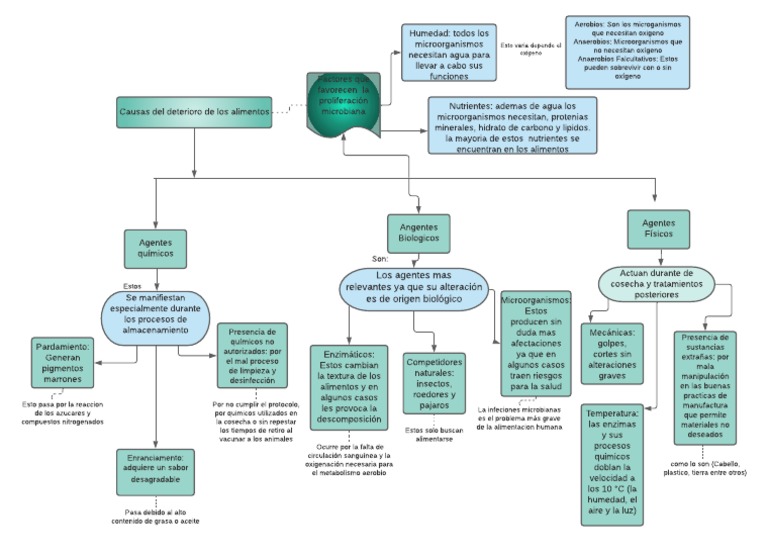 Mapa Conceptual Causa Del Deterioro de Los Alimentos | PDF | Nutrientes ...