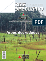Boletim EPAMIG - Areas Degradadas - 2008