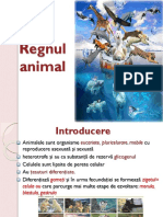 9_REGNUL ANIMAL_PPT