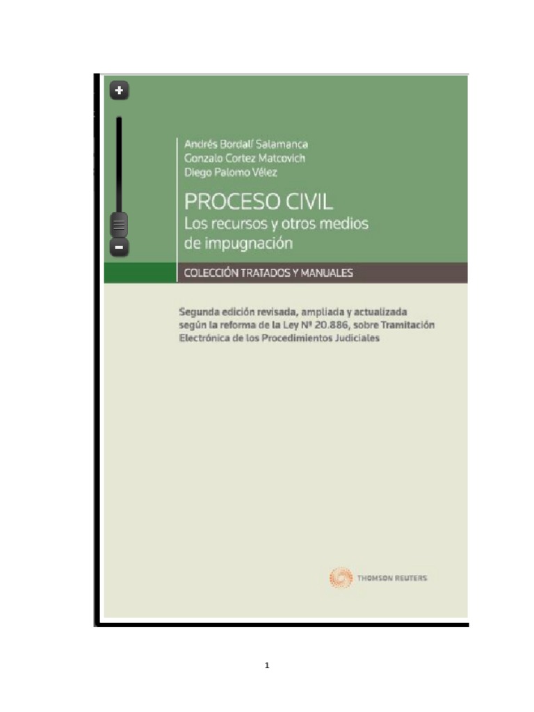 Medios de Impugnación en Proceso Civil | PDF | Debido al proceso | Ley ...
