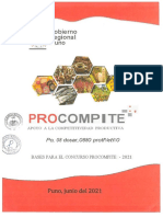 Bases Del Concurso Procompite 2021 PDF