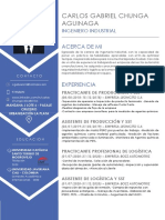 CV NO DOCUMENTADO EN WORD