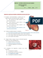 Proposta de Correção Da Ficha Formativa - Sistema Cardiovascular