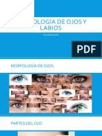Morfología de Ojos y Labios