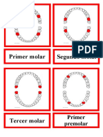 Dientes Plantilla Tarjeta 3 Partes