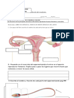 TAREA EVALUADA 