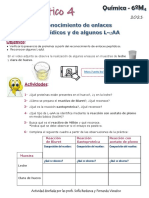 6°M4 - QUÍMICA 2021 - Práctico 4 - Reconocimiento de Enlaces Peptídicos y L-alfaAA