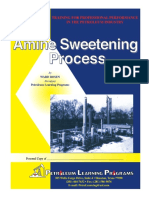PLP P-10-2003, Amine Sweetening Process-2nd Ed-Rosen