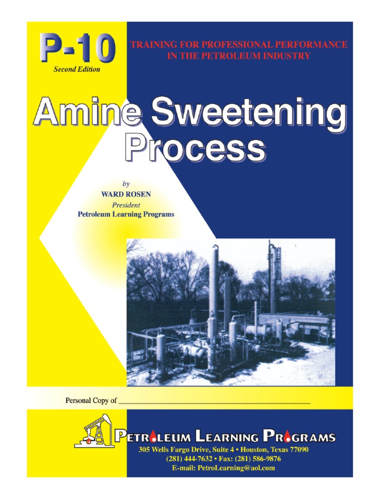 PLP P-10-2003, Amine Sweetening Process-2nd Ed-Rosen | PDF | Pascal ...