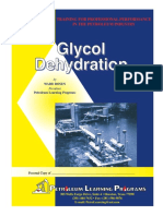 PLP P-2-2003, Glycol Dehydration-2nd Ed-Rosen