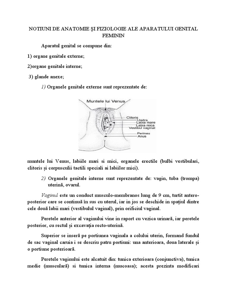 Notiuni de Anatomie Şi Fiziologie Ale Aparatului Genital Feminin | PDF