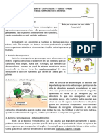 Atividade Complementar 4 Bactérias