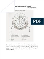 pdf-el-poder-maravilloso-del-cerebro_compress