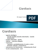 Giardiasis y Amebiasis causas síntomas diagnóstico y tratamiento