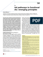 Developmental Pathways To Functional Brain Networks: Emerging Principles