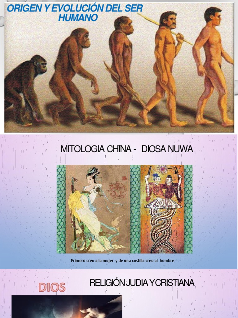 Origen y Evolucion Del Ser Humano | PDF | Evolución | Especies
