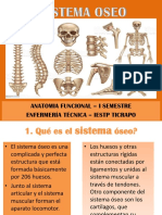 ESQUELETO - AXIAL - Y - APEND - Anatomia Funcional Lic - Teresa