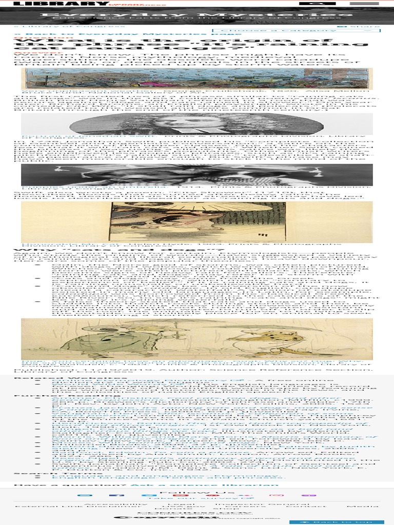 RAINING CATS AND DOGS MEANING ORIGIN EXAMPLE SENTENCE ETYMOLOGY intelligence overview