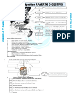 Ficha Mecanismo de La Digestion para Cuarto de Primaria