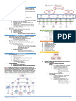 Characteristics of Stem Cells: Valeña, A.C. - Bsmls - 3B 1